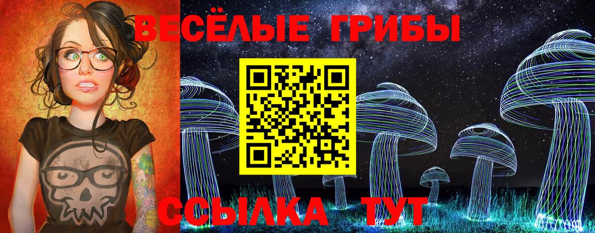 Светлоград  Псилоцибиновые грибы GOLDEN TEACHER  Вход с VPN 
